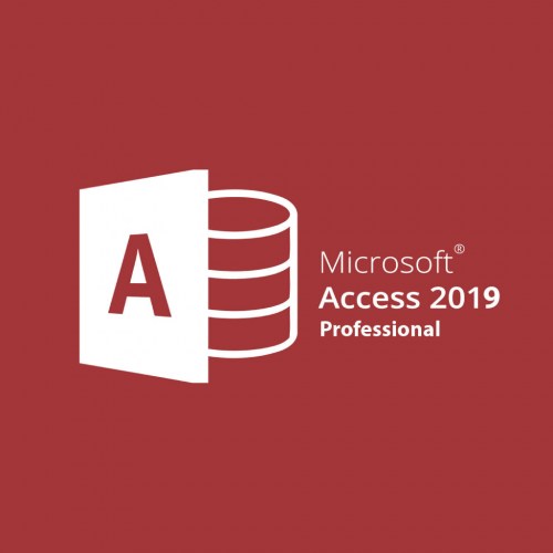 MICROSOFT ACCESS 2019 LOGO-100